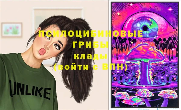 тгк Абинск