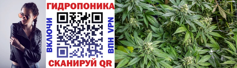 магазин    Раменское  Канабис OG Kush 